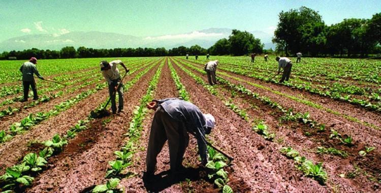 programa de apoyo a la agricultura familiar