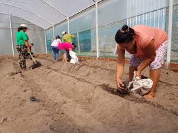 Programa Nacional de Apoyo a la Producción